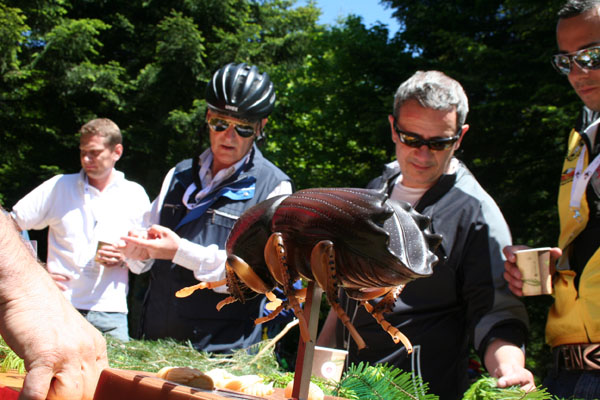 JLV2009_082.jpg